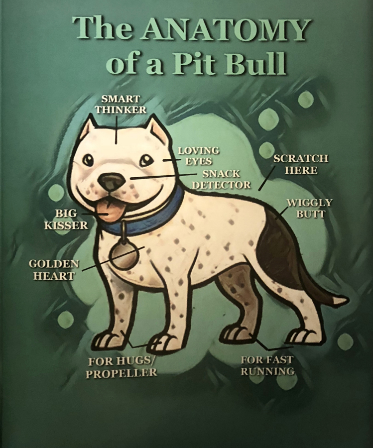 An inside look at Camas author Pam Maxey&#039;s new children&#039;s book, &quot;A Pitbull Named Joey.&quot; (Illustration by Susan Krupp, courtesy of Pam Maxey)