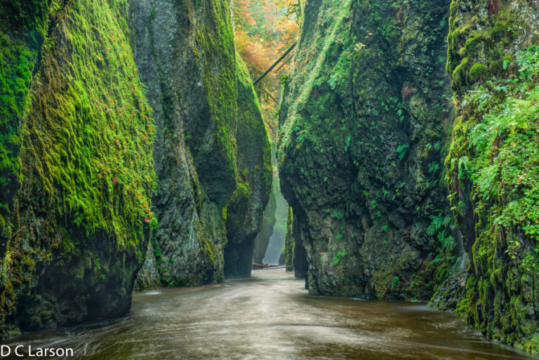 Camas photographer Dale C. Larson&#039;s photograph of the Oneonta Gorge, located on the Oregon side of the Columbia River Gorge, hangs prominently at Larson&#039;s &quot;Northwest Wonders&quot; art show at the Second Story Gallery in downtown Camas. Contributed photo by Dale C.