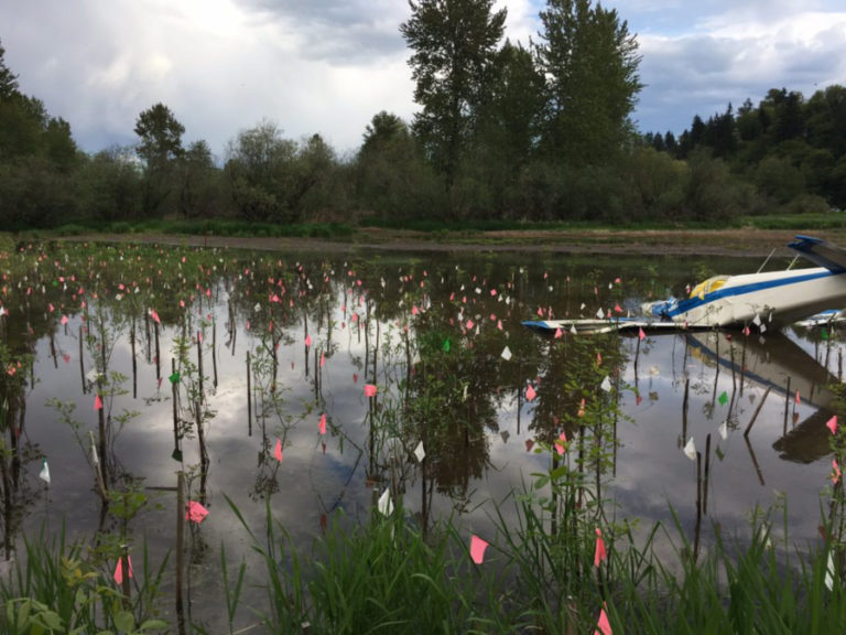 The plane&#039;s wreckage, found April 29, near the East Fork Lewis River in north Clark County. Camas resident Milo Kays, 73, and flight instructor Dennis Kozacek, 70, were killed in the crash.