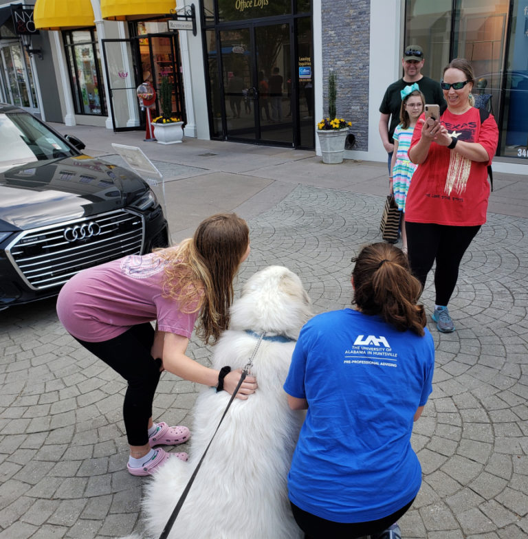 Crowds gathered whenever Gracie and Barrett, two Great Pyrenees from Washougal, stopped during a cross-country trip.