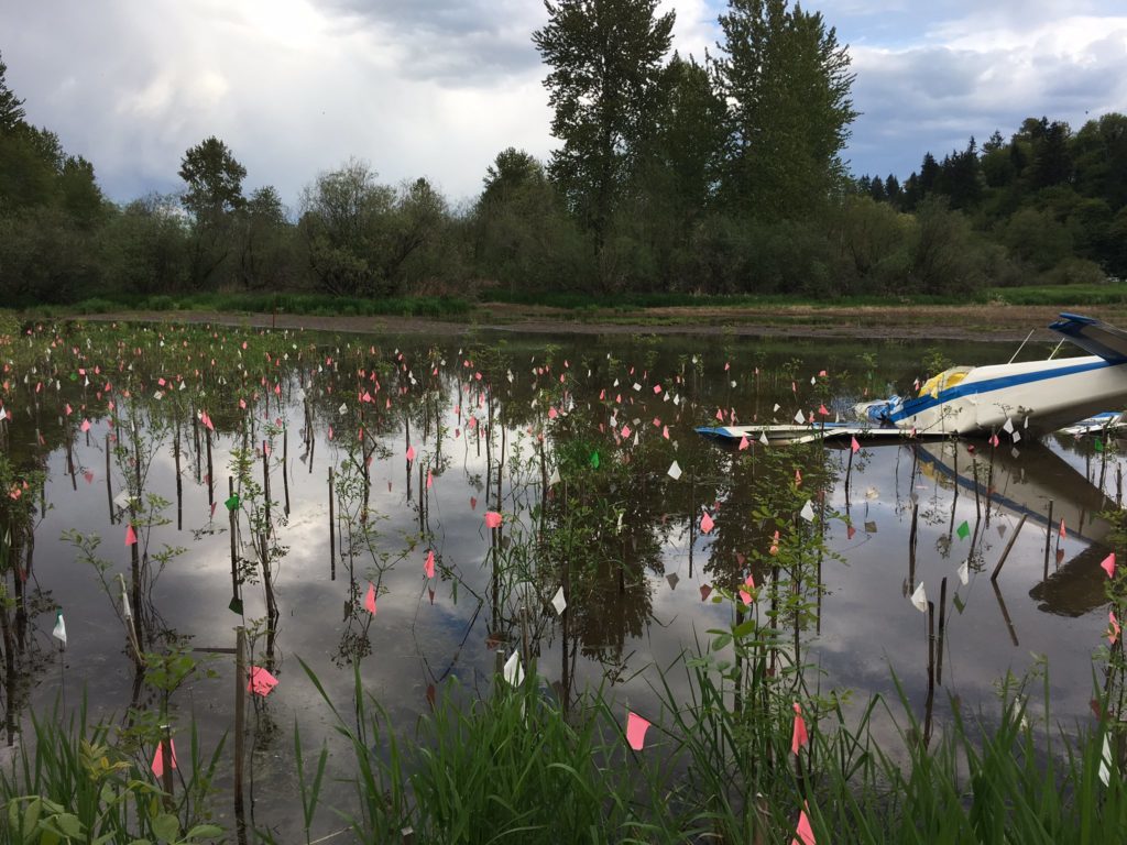 (Photo courtesy of Clark County Sheriff's Office)
The wreckage of a small plane crash found Monday near the East Fork Lewis River in north Clark County. Camas resident Milo Kays, 73, and Camas flight instructor Dennis Kozacek, 70, were killed in the crash.