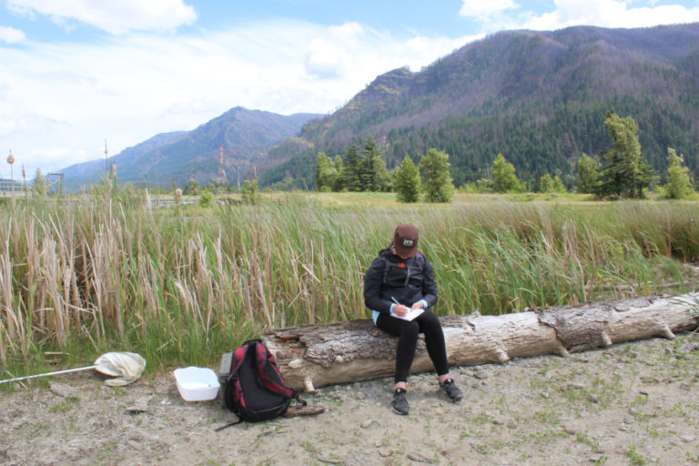 Kate Kesler examines her notes at Bonneville Dam on June 6.