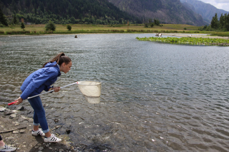 Olivia Seifert, 12, a sixth-grader at Jemtegaard Middle School, examines "pond critters" at Bonneville Dam on June 6.