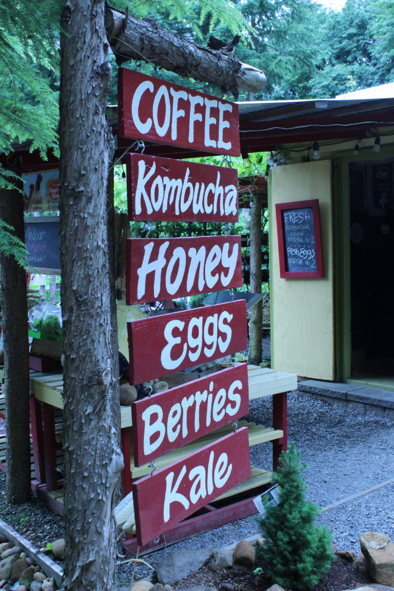 A sign advertising fresh produce, eggs, honey and locally made drinks hangs at Liz Pike’s Shangri-La Farm.