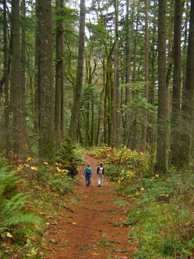 A Friends of the Columbia Gorge work party meets at Fort Cascades, a national historic site in North Bonneville, Wash.