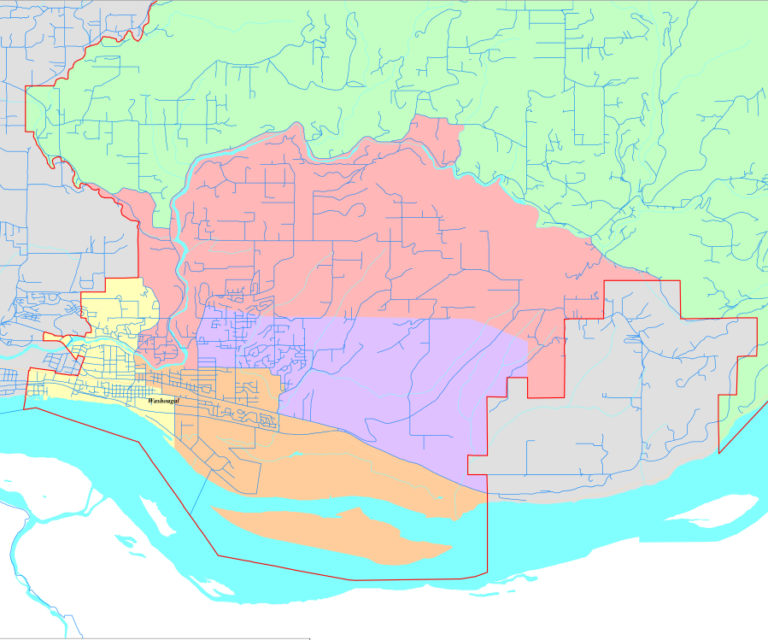 The Washougal School District is seeking candidates to file for its open District 1 board seat, which will be vacated by Teresa Lees. District 1, in west Washougal, is pictured in the yellow section above.