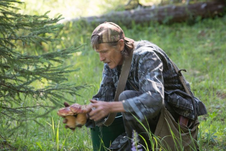 Robert "Guy" Whigham partners with Foods in Season to provide the company with wild mushrooms from all around the Pacific Northwest. "Guy is one of the most skilled foragers in North America, a walking encyclopedia of knowledge," according to the Foods in Season website.