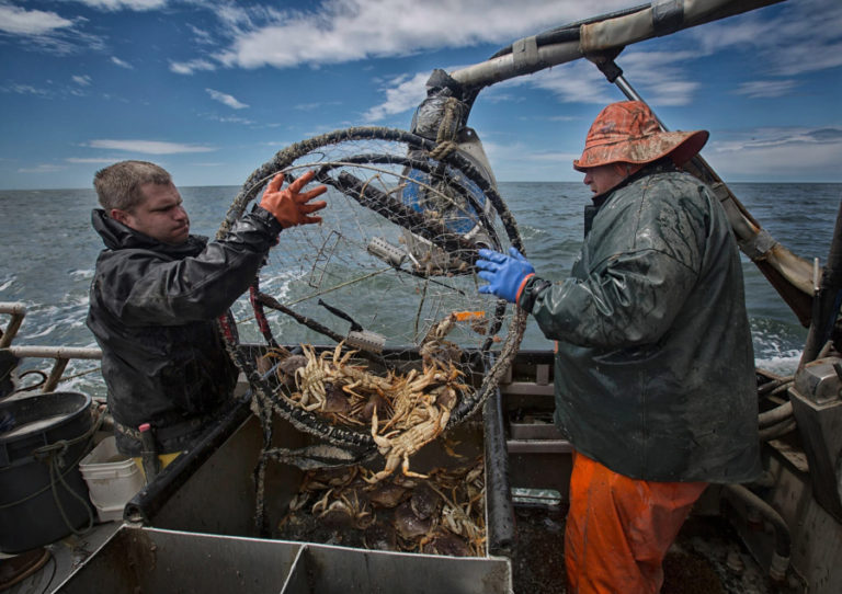 Foods In Season uses its proximity to the Columbia River to provide a wide variety of seafood. Dungeness crabs (above) are caught on the Washington and Oregon coasts from December to September.