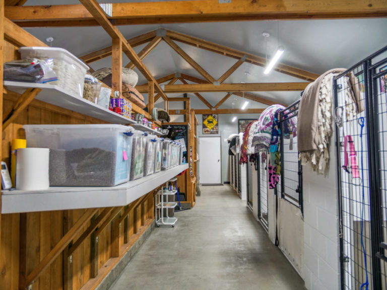 The inside of the Mostly Mutts animal rescue in Camas is highly organized with grain-free food,  spacious pens and clean bedding for the rescue&#039;s dogs and puppies.