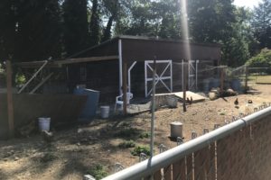 The view of Matthew Sauer's backyard from Tim Hagensen's back yard at Q Street in Washougal.