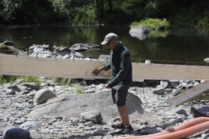 A long piece of fabric, pictured above, sucks water and fish from a weir to tanker trucks. Joe Mullen of the Washington Department of Fish and Wildlife has been working with spawning fish on the Washougal River since 2010. (Photos by Wayne Havrelly/Post-Record)