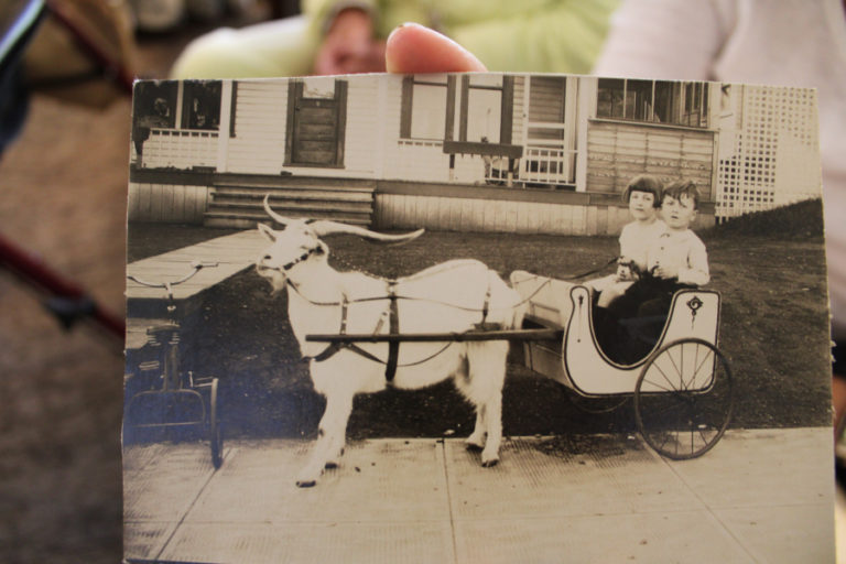 Rosemary Knapp holds a photos of Cay Knapp Smith (left) and her brother, Hugh Knapp (right), in the 1920s, in a cart pulled by a goat, a prop that a traveling photographer brought with him to homes throughout the Camas-Washougal area in an effort to sell families photos of their children.