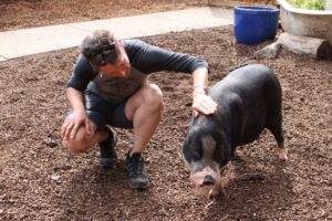 Wendy Smith, co-owner of Odd Mann Inn Animal Refuge in Washougal, pets Melvin the pig at the sanctuary on Aug. 29. A photo of Melvin, an Odd Man Inn resident who lost one leg and both of his ears to a dog attack earlier this year, won a national contest held by Tractor Supply, a national chain of farm supply stores. (Doug Flanagan/Post-Record)