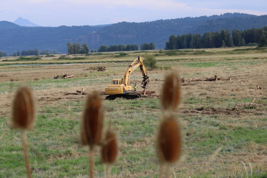A construction crew works at Steigerwald Lake National Wildlife on Sept. 5. The Steigerwald Floodplain Restoration Project will reconfigure the Port of Camas-Washougal's existing Columbia River levee system to reduce flood risk, reconnect 960 acres of Columbia River floodplain and increase recreation opportunities at the Steigerwald Lake National Wildlife Refuge.