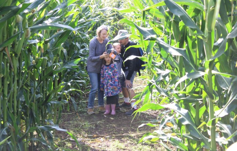Doug Flanagan/Post-Record 
 Vancouver residents Matt and Angie Butler, along with their son, Greysen, 7, and daughter, Simone, 5, pose for a &quot;selfie&quot; in the corn maze at Waltons Farms in Camas on Saturday, Oct. 5.