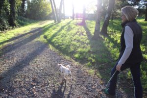 Washougal resident April Engle walks with her dogs through Kerr Park on Thursday, Oct. 24. Engle is leading an effort to preserve the 16 acres of greenspace directly south of the park from housing development. 