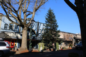 The holiday tree came to downtown Camas on Nov. 19. The tree will be lit at 6:30 p.m. Friday, Dec. 6, during the city's annual Hometown Holidays celebration. (Kelly Moyer/Post-Record)