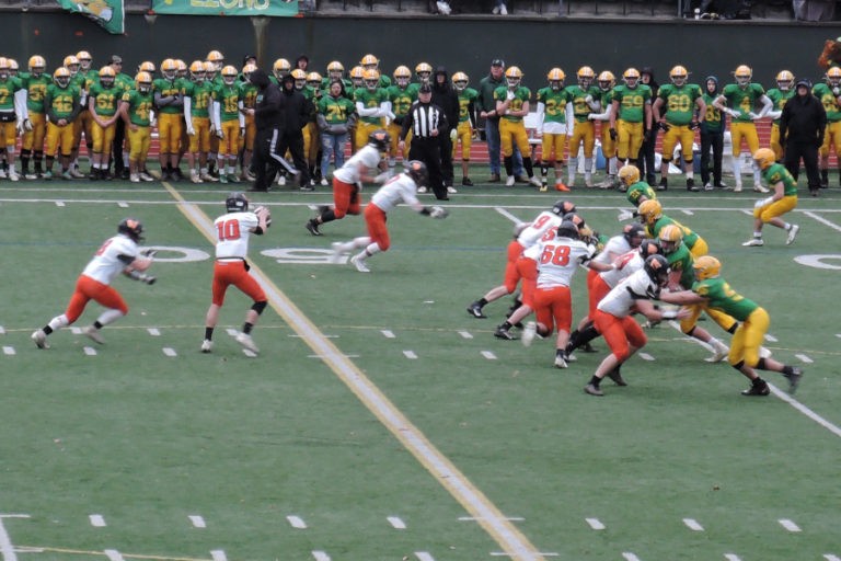 Washougal High School quarterback Dalton Payne prepares to hand off to running back Peter Boylan during the Panthers&#039; game against Lynden High School on Nov. 23.