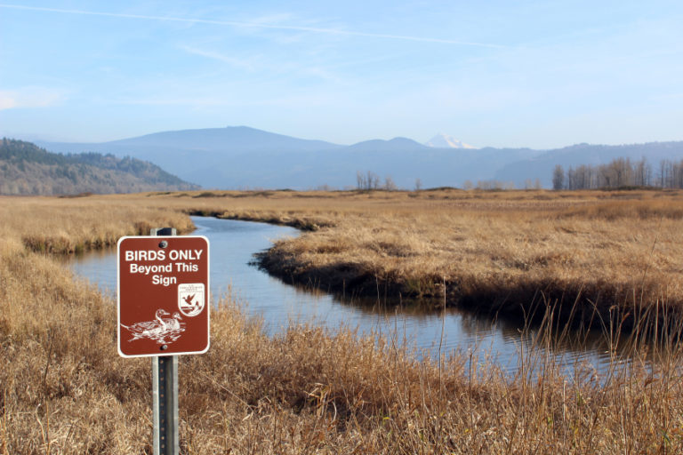 A sign tells human visitors to keep away from "birds only" area at the Steigerwald Lake National Wildlife Refuge near Washougal on Dec. 19, 2017.