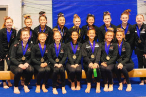 Members of the Camas gymnastics team pose for a photo after finishing an undefeated season with a victory at the 4A District 4 meet on Feb. 15 in Vancouver. (Submitted photo courtesy of Carol Willson)