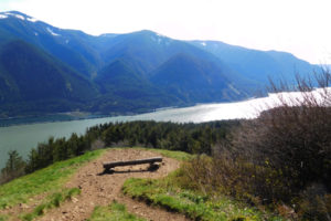 (Post-Record file photo) A view of the Columbia River Gorge National Scenic Area from a trail on Dog Mountain in Skamania County. The county recently closed all recreational hiking until further notice in response to crowds that flooded the Washington side of the gorge during 