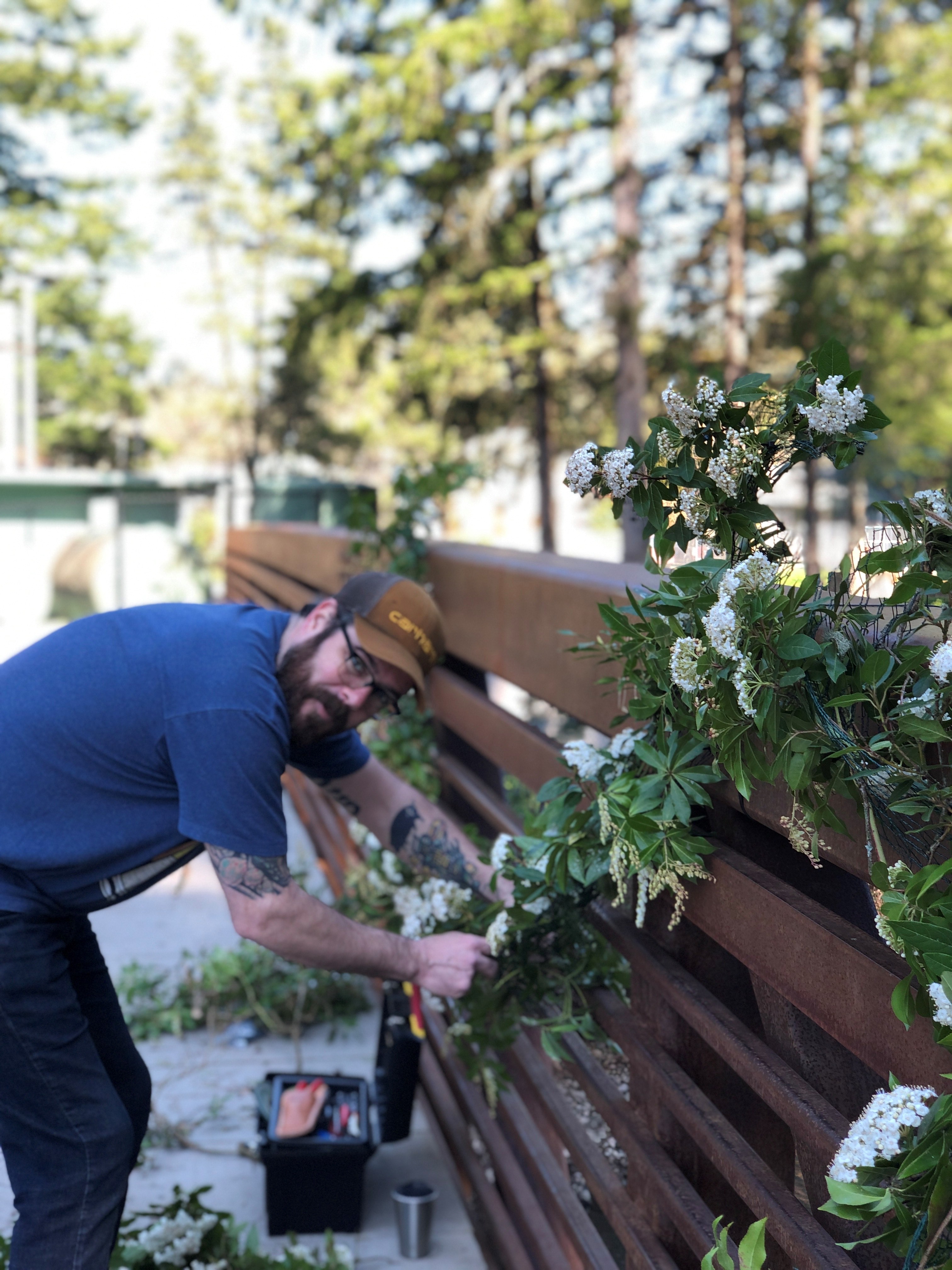 (Photo courtesy of Janessa Stoltz) 
Chuck Stoltz, co-owner of Acorn & the Oak, helps install a surprise flower installation on the pedestrian bridge over Lacamas Lake, near his Camas business. 