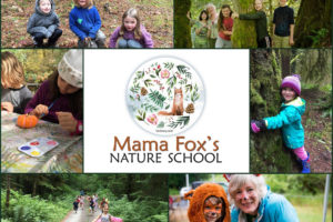 The TreeSong Nature Retreat and Wellness Center is offering a new online program called Mama Fox's Nature School, which endeavors to connect children and their parents to nature with a variety of videos, downloadable activities and group chats. (Contributed photo courtesy of Michelle Fox)
