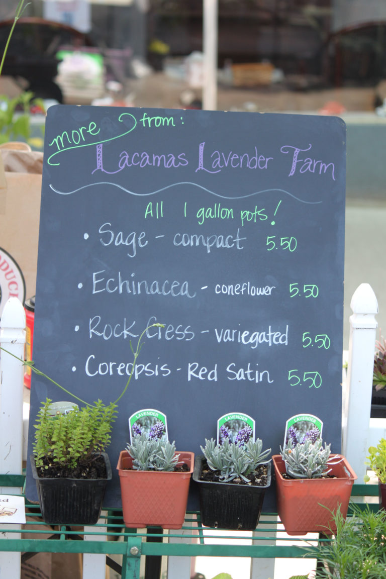 (Post-Record file photo) 
A sign at a past Plant and Garden Fair in downtown Camas shows varieties of lavender sold by Lacamas Lavender Farm, a longtime plant and garden fair vendor.