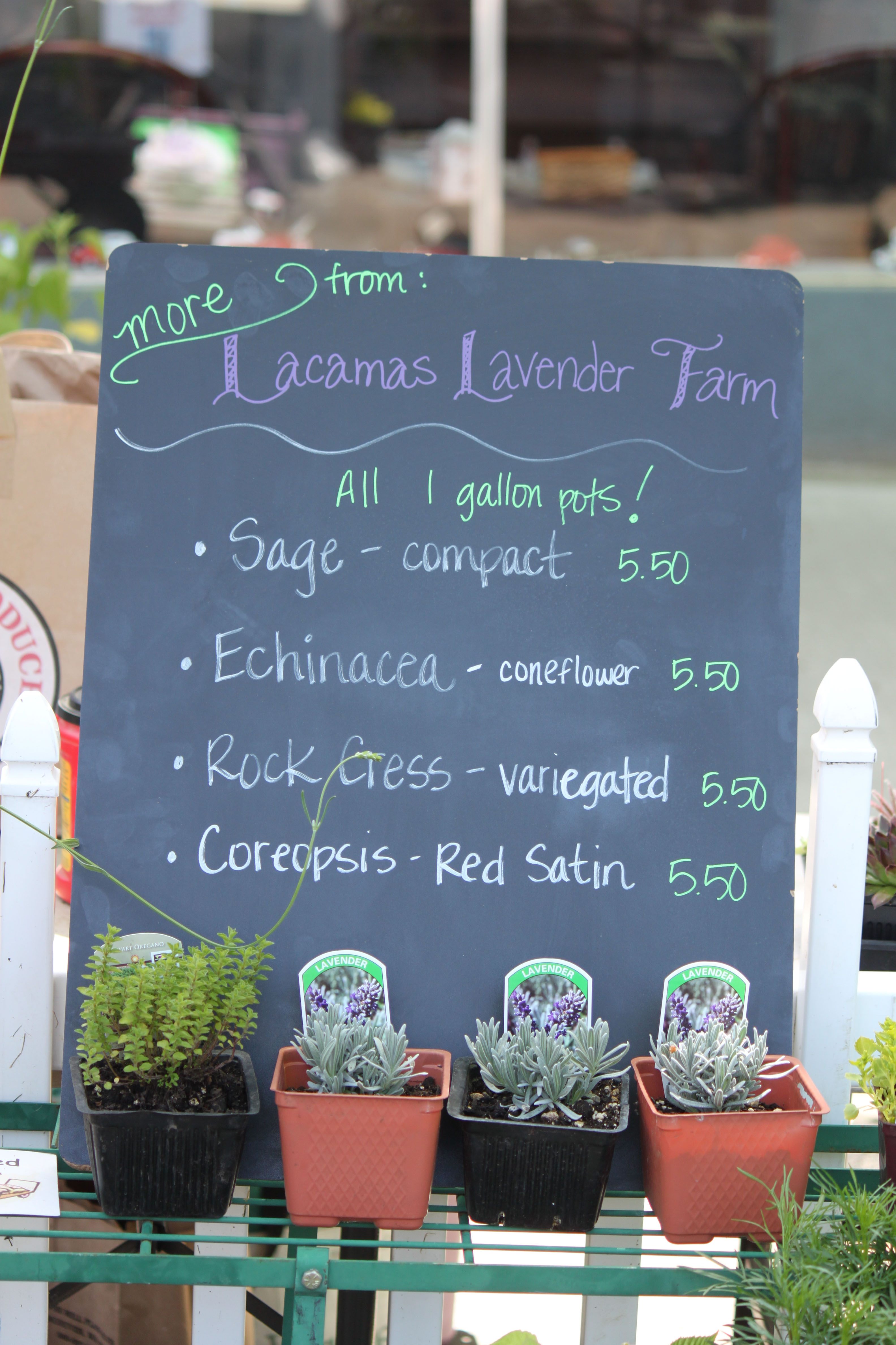 (Post-Record file photo) 
A sign at a past Plant and Garden Fair in downtown Camas shows varieties of lavender sold by Lacamas Lavender Farm, a longtime plant and garden fair vendor. 
