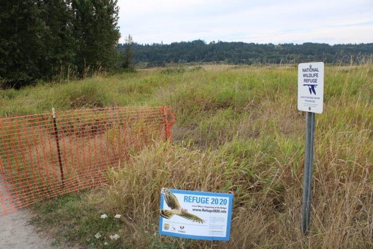 Construction will begin at Steigerwald Lake National Wildlife Refuge on Monday, June 1. The work is part of a multi-year Steigerwald Reconnection Project, a collaboration led by the Lower Columbia Estuary Partnership, U.S. Fish and Wildlife Service and Port of Camas-Washougal to reconfigure the existing Columbia River levee system to reduce flood risk, reconnect 965 acres of Columbia River floodplain and increase recreation opportunities at the refuge.