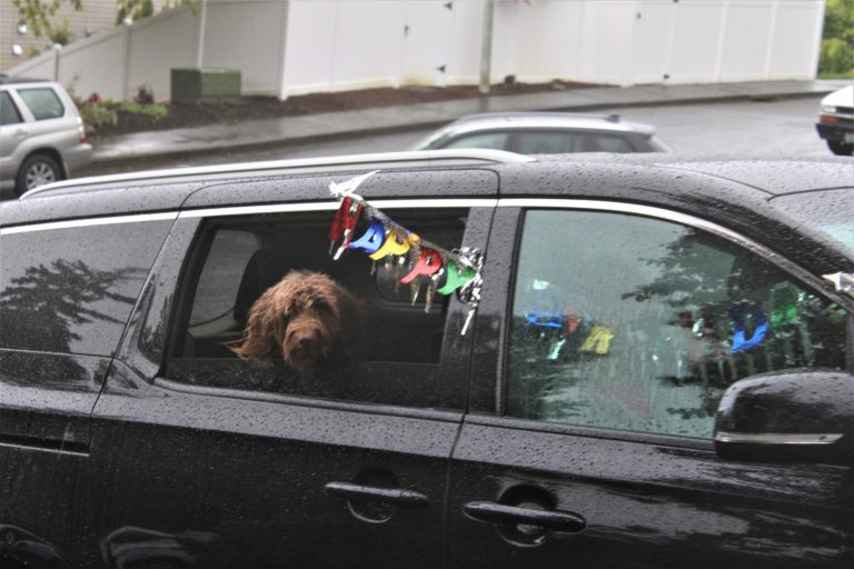 Even the dogs got in on the "drive-by happy birthday parade," held Sunday, May 3, to honor the eighth birthday of Timothy Hergenroether.