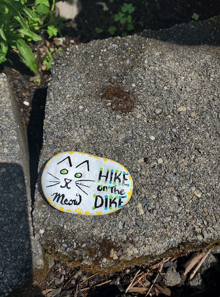 As part of this year's West Columbia Gorge Humane Society's "Hike on the Dike" virtual event, local residents are encouraged to paint rocks and drop them off at the WCGHS cat shelter in Washougal.