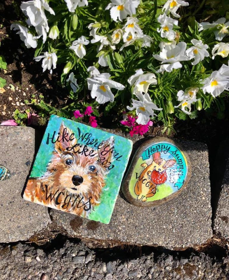 As part of this year's West Columbia Gorge Humane Society's "Hike on the Dike" virtual event, local residents are encouraged to paint rocks and drop them off at the WCGHS cat shelter in Washougal.