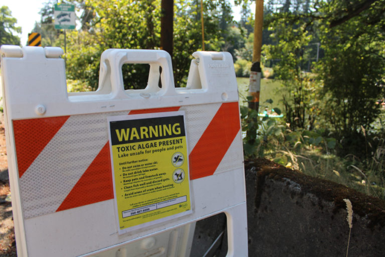 Another &quot;toxic algae present&quot; warning sign stands near the Northeast Everett Street bridge in Camas, on the shores of Lacamas Lake.