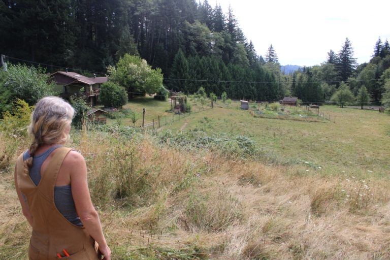 Colibri Gardens owner Lara Scanlon looks over her 40-acre property in Washougal on Aug.