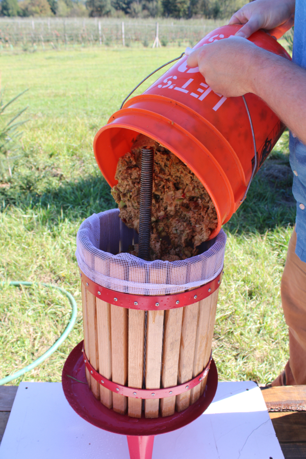 Andy Gerzel, of Portland, dumps a bucket of apple mash into a cider press at Columbia Gorge Vintners outside Washougal on Sunday, Sept.