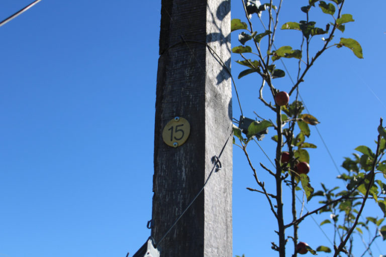 A hand-washing station sits near the entrance of the apple orchard at Columbia Gorge Vintners at 5500 S.E.