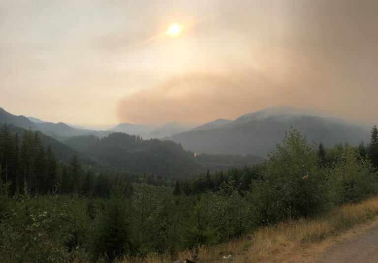 A photo of the Big Hollow fire, burning east and north of the Trapper Creek Wilderness in the Mt. Adams Ranger District, which has prompted Level 1 and 2 (Get Ready and Get Set) evacuation notices in North Clark County.