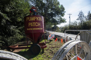 Walton Farms in Camas, pictured on Oct. 9, is now open for visitors. The pumpkin patch and corn maze opened at the beginning of the month for the fall season.