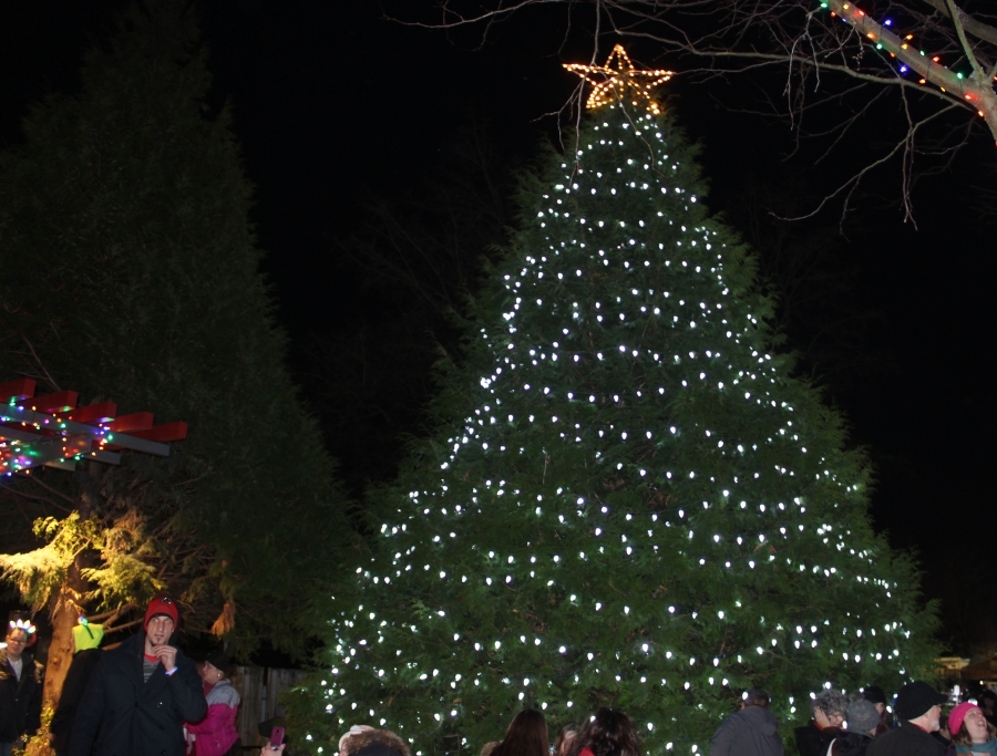 Christmas Bazaar Camas Wa 2022 Holiday Festivities In Camas, Washougal Take On New Flavor During Covid-19  | Camas-Washougal Post-Record