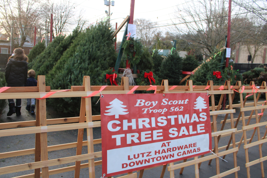 Looking for the perfect holiday tree? Local lots, ucut tree farms have