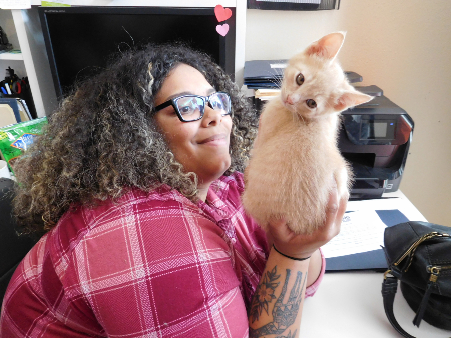 Delaney Edison, the West Columbia Gorge Humane Society's animal care and operations manager, holds Lasagna, a kitten that used to live at the Washougal animal shelter before finding a "forever home" in 2019. (Post-Record file photo)