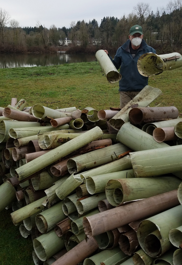 Washougal resident James Mahar stacks plastic tubes on the Washougal River Greenway trail. Mahar and Washougal resident Barbara Gagnier removed about 3,000 of the tubes from trees along the trail in December 2020 and January 2021.