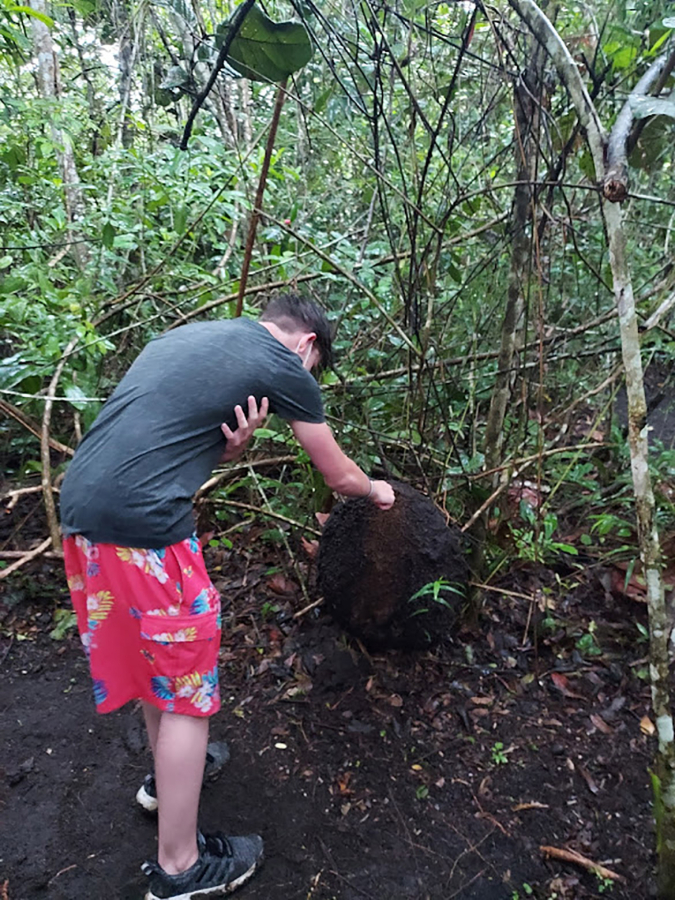 Washogal High School student Josiah Aiton reaches for a termite during an eductional tour of Belize in July. "Termites taste minty, like mouthwash," according to Washougal High student Mariah Moran.