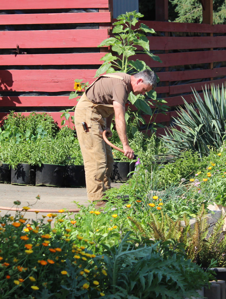 Doug Flanagan/Post-Record
John Spencer waters a plant at Get To-Gather Farm on Sept. 2.