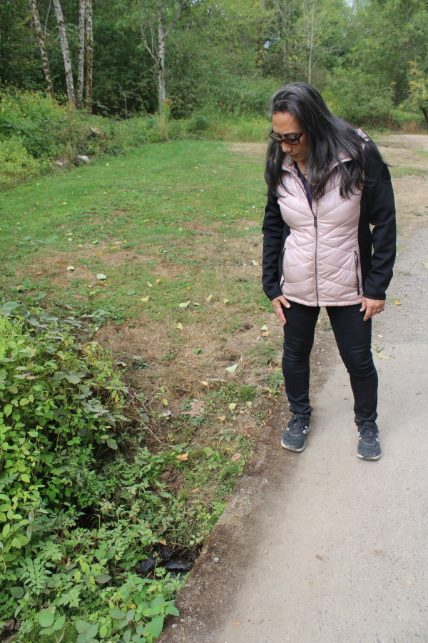 Lacamas Shores resident Marie Tabata Callerame shows one of six sites tested for pollution inside the Lacamas Shores biofilter, located near the city of Camas&#039; Heritage Trail and Lacamas Lake, on Friday, Sept.