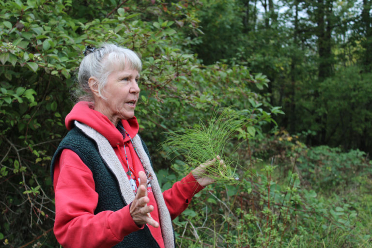 Susan Knilans shows an example of the limited &quot;healthy plants&quot; living in the Lacamas Shores biofilter on Friday, Sept.