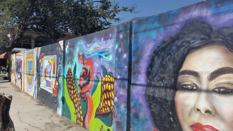 The city of Ajijic, Jalisco, Mexico, is known for its public art displays, including murals (above). &quot;You can&#039;t look anywhere here and not see a mural. It&#039;s a super artistic town,&quot; Kelli Rule, former Washougal Arts and Culture Association board president, said of Ajijic.