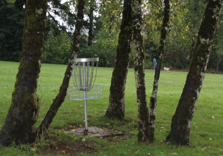 A disc golf element sits inside Hartwood Park in Washougal on Jan. 27, 2022. The city of Washougal is working with a renowned disc golf course designer to create and install a new and improved disc golf course at Hartwood Park.
