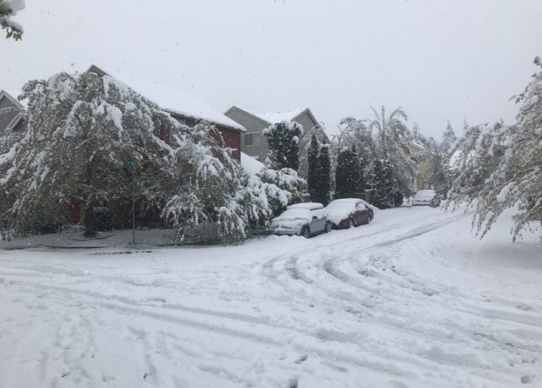 Snow falls in the Lacamas Meadows neighborhood in northwest Camas on Monday, April 11, 2022.